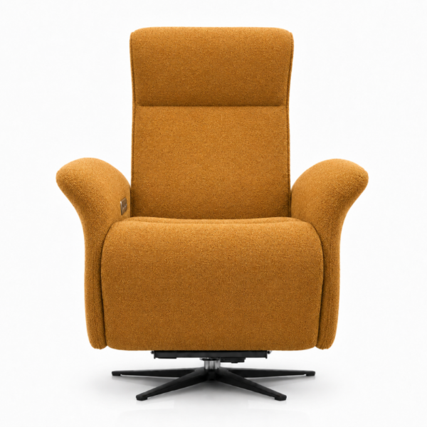 SILLÓN ELEVACIÓN ASISTIDA (8)